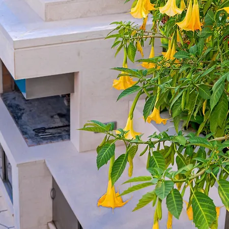 Seaside Luxury With A Swimming Pool Puntinak, Brac - 2964 Selca (Brac)