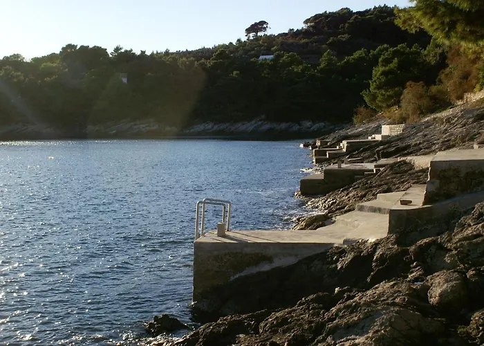 Seaside Luxury With A Swimming Pool Puntinak, Brac - 2964 Villa