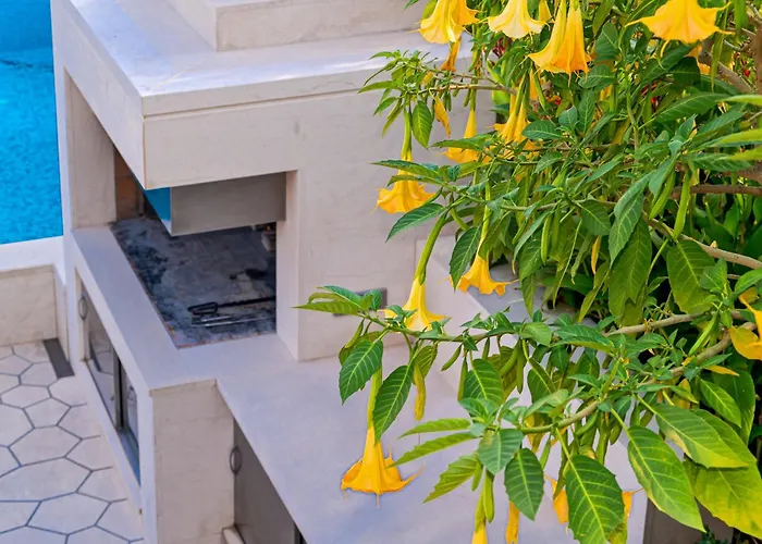 Seaside Luxury With A Swimming Pool Puntinak, Brac - 2964 Selca (Brac)